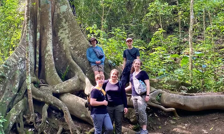 Rainforest Wildlife, Panama Hat makers, Traditional Cuisine. SHORE TOUR