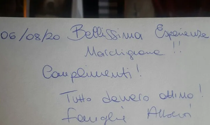 Wine Tour and Tasting at Le Marche's Oldest Wine Estate