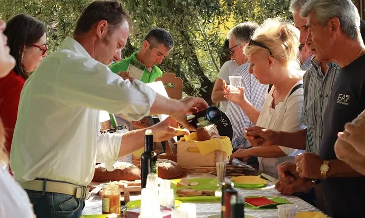 From Abano Montegrotto Olive Oil & Wine in the Euganean Hills