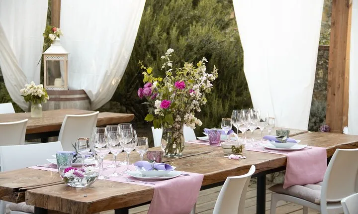 Wine and food tasting in an organic family winery