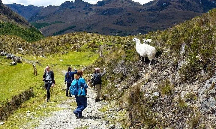 Amazing Cajas National Park Tour from Cuenca