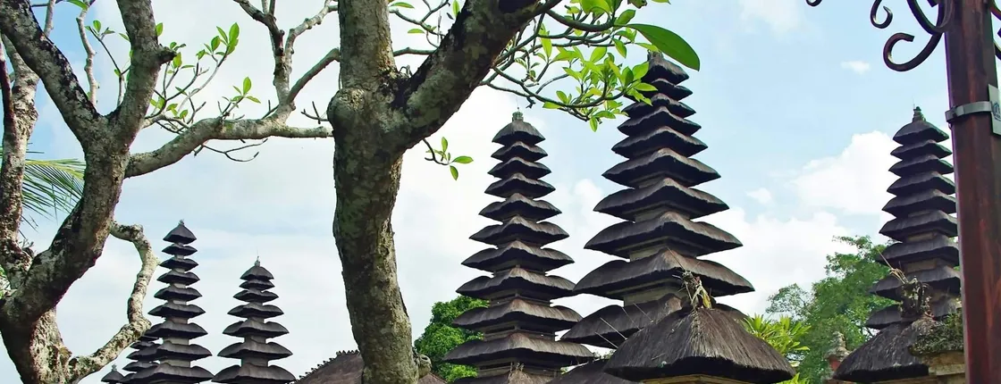 Bali Temples Trail and Rice Terraces Private Full Day Tour
