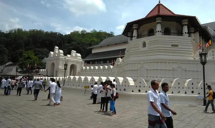 Private Day trip Kandy & pinnawala with your selected attractions