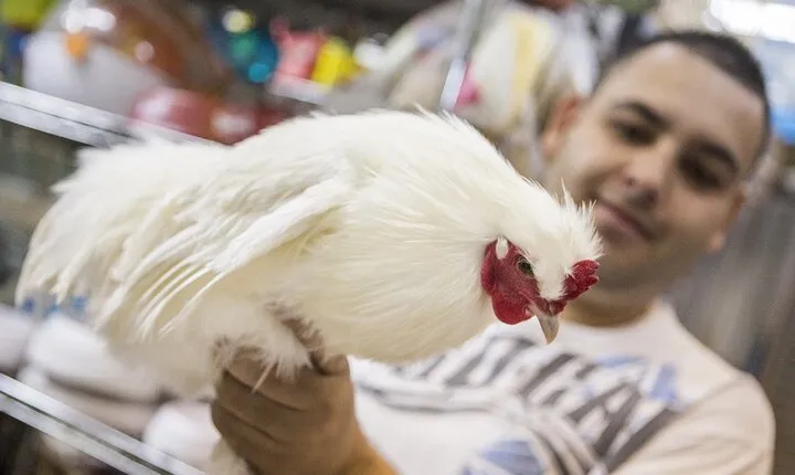 San Jose: Bites and Sights Walking Food Tour visit Markets