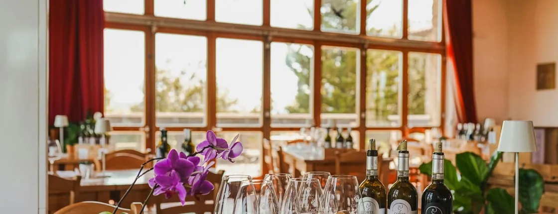 Classic Wine Tasting in Montalcino