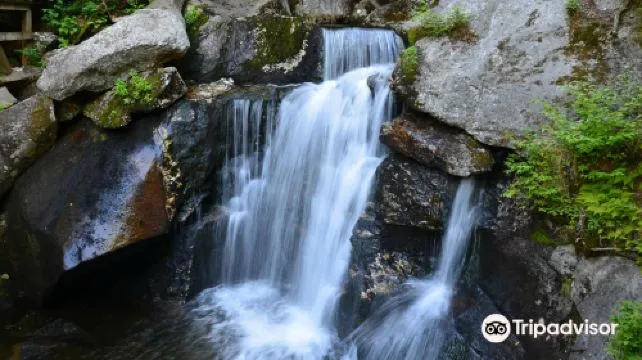 Boston & White Mountains Day Tour [Lost River Gorge & Boulder Caves]