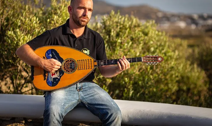 Tour and Wine Tasting in Mykonian Land 