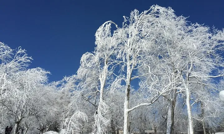 Niagara Falls Winter Wonderland USA Tour (small groups)