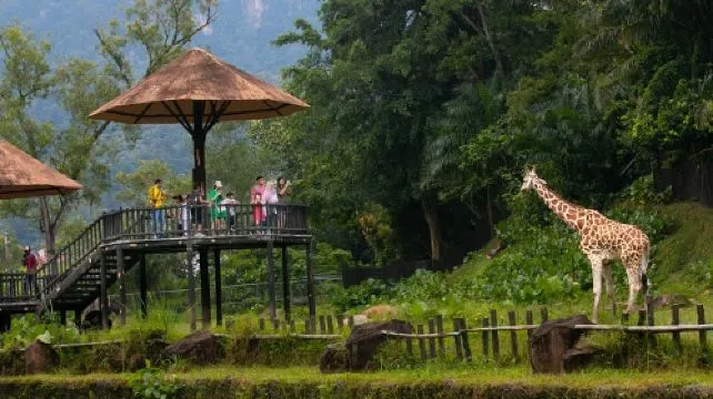 Zoo Negara Malaysia Admission Ticket Family (2 adults + 1 child) (Non-Malaysian)