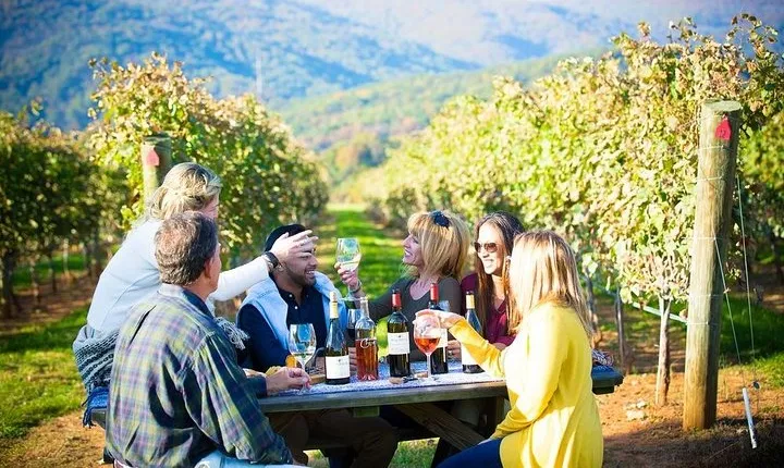 Maipo Valley Wine Tour with 4 vineyards from Santiago.