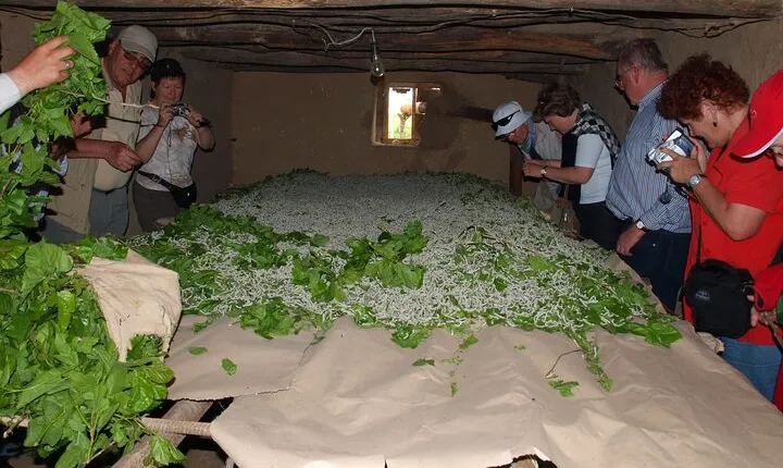 Shahrisabz Private Excursion From Samarkand.