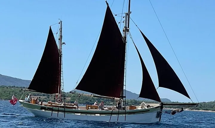 Sailing day trip on Tall Ship Andrea Jensen with Lunch and Wine