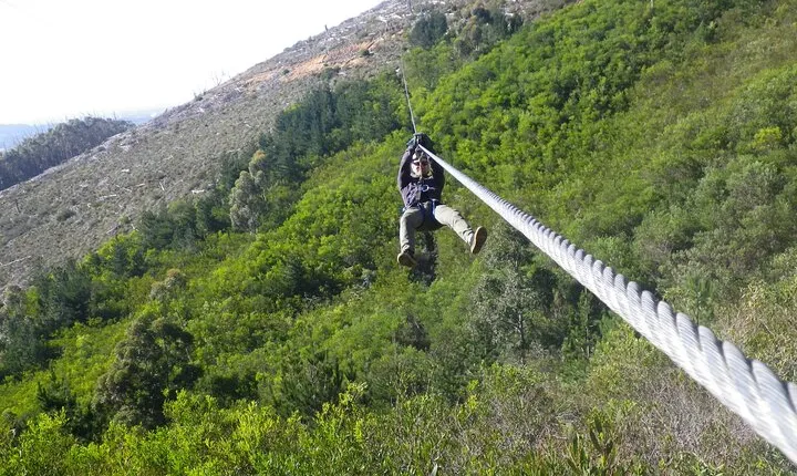 Zipline Cape Town - From Foot of Table Mountain Reserve 
