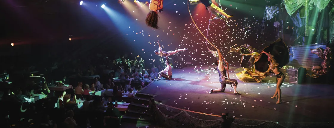 Pirates adventure show with transfer