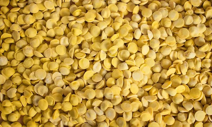 Private Half Day Parma Food Walking Tour