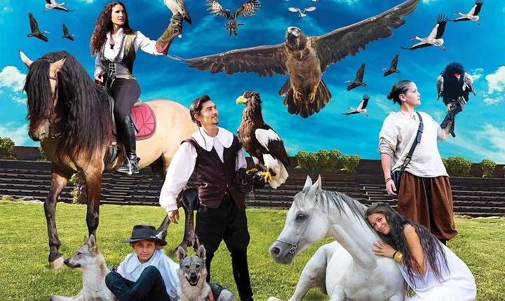 Skip the Line: Falconeria Locarno Ticket