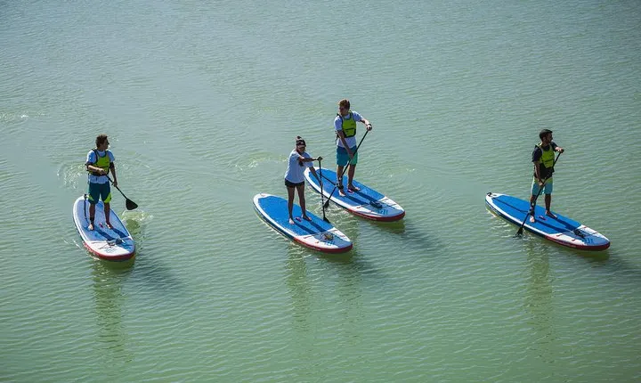 Seville: Paddle Surf Route and Class