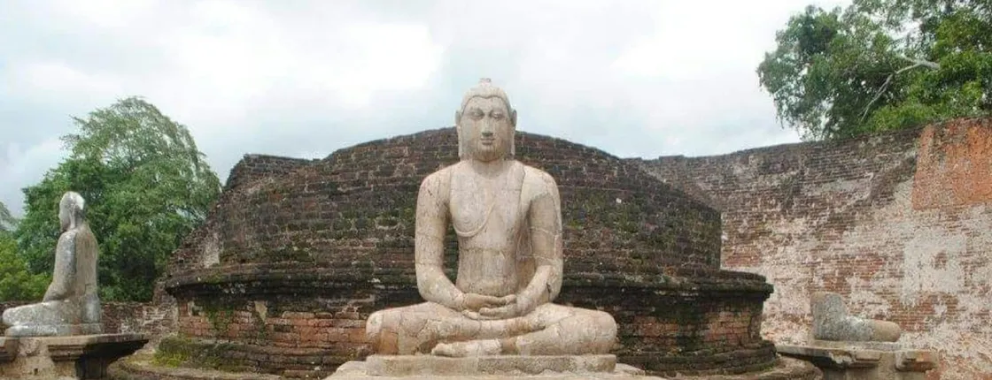 Ancient Polonnaruwa and Minneriya Park Safari Tour from the East Coast