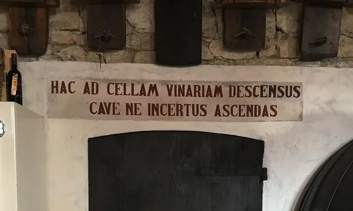 Prosecco hills wine and food tour from Venice and Treviso