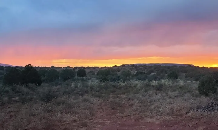 Diamondback Gulch 4x4 Open-Air Jeep Tour in Sedona