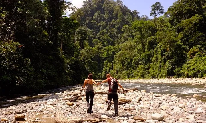 Monkey Business 3 days - 2 nights Jungle trekking (including rafting)