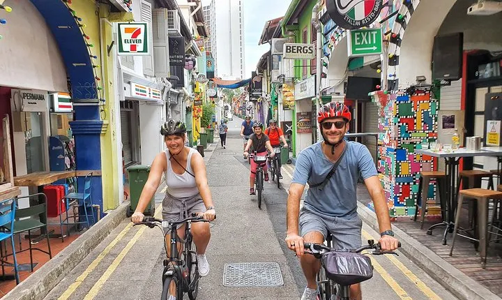 Historical Singapore Bike Tour on Full-Sized Bicycles