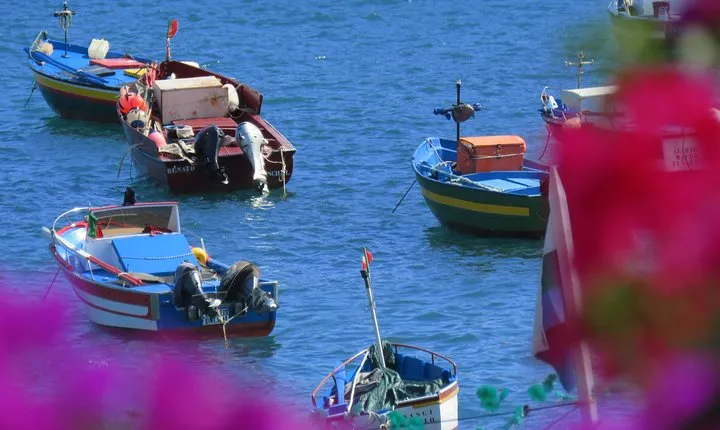 Madeira Sea Cliff and Camara de Lobos 4WD Half Day Tour