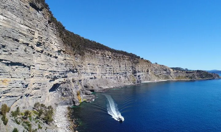 Maria Island Cruise and Guided Walk Day Tour with Lunch and Drinks