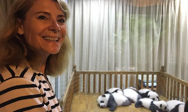 Private Half-Day Chengdu Panda Breeding Center Tour with Optional Volunteer