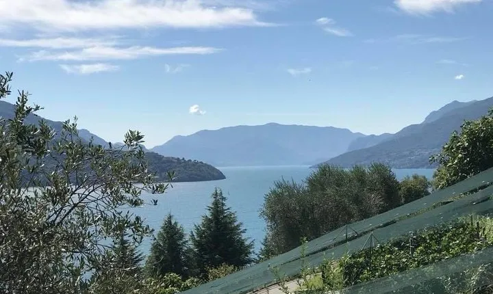 Domaso: Wine Tasting at the Winery on Como Lake