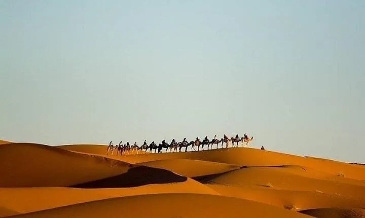 Night In Merzouga Desert, Camel, Jeep, Tent With Private Bathroom