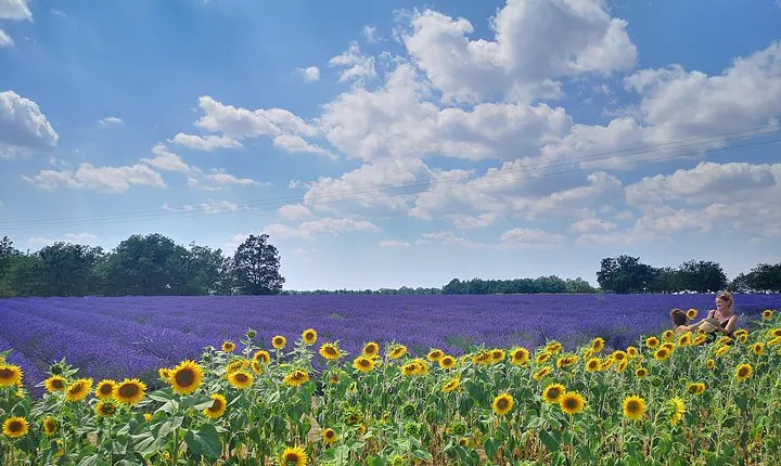 Arles Small groupe tour : Private Day Trip to Luberon Villages