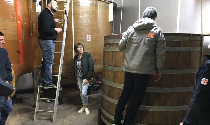 Private Wine Tasting Tour - Côte de Beaune & Côte de Nuits 3 wineries, 15+ wines