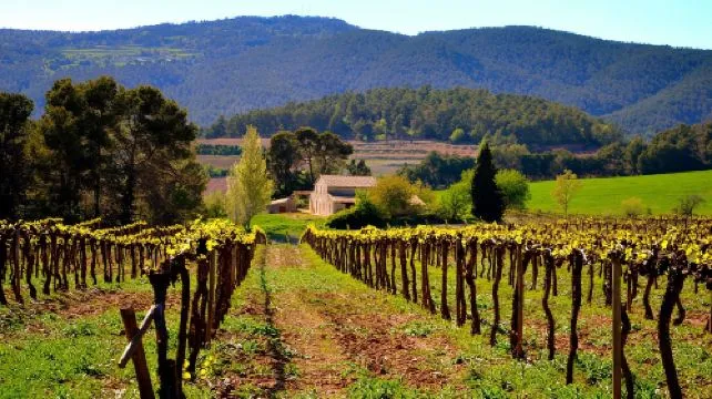 Sitges Beach + Church + Freixenet + Penedès Wine Region