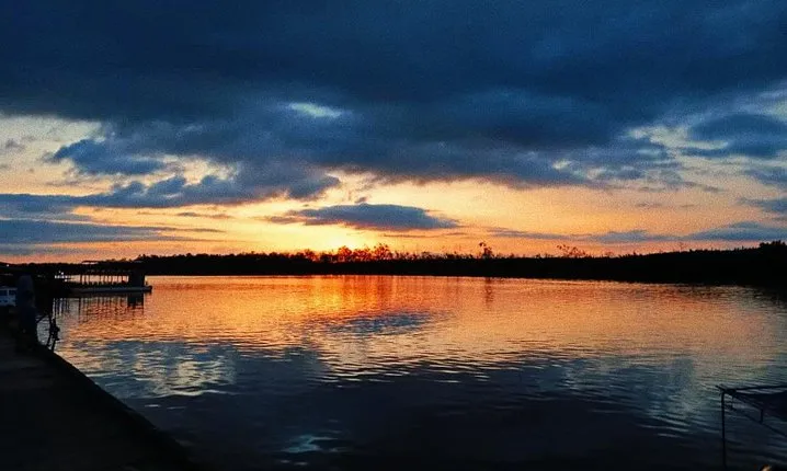 Proboscis Monkey and Fireflies River Cruise