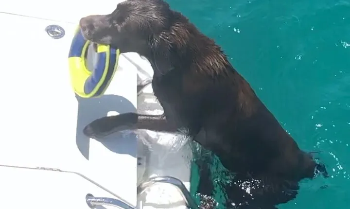 Day trip on a sailing catamaran in Sardinia