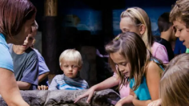 SEA LIFE Paris Aquarium Child