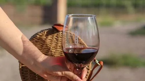 Aguascalientes: Magical Town and Vineyard Sightseeing Tour