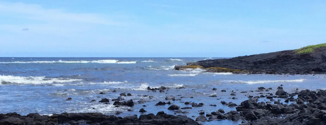 Big Island of Hawaii sightseeing day tour from Kohala