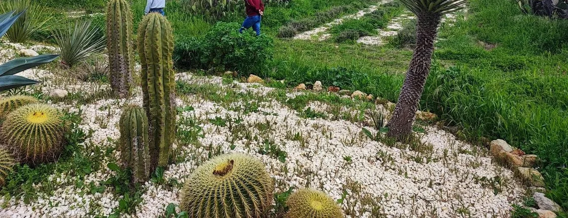 Guided sensorial trek and artisanal bitters workshop close to Noto