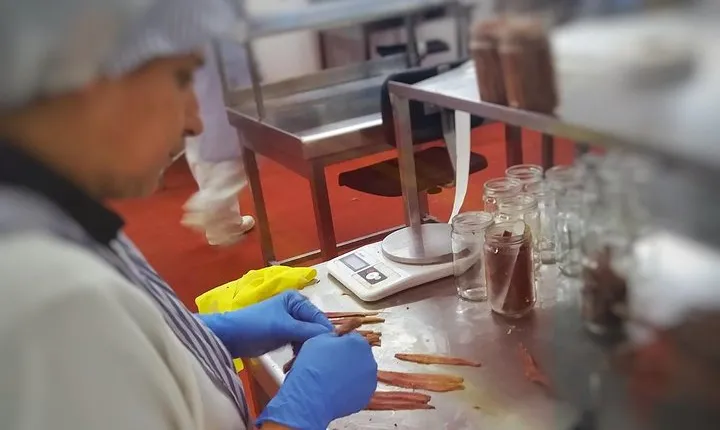 Santoña: Anchovy Factory & Boat Trip with tickets-small groups