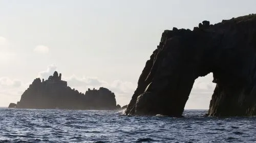 Rounding Cornwall Boat Trip Experience. (Departing Hayle)
