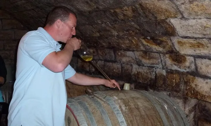 Half-day Wine Tasting Tour in Etyek Wine Country near Budapest