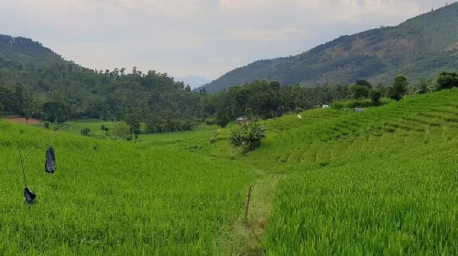 Hot Air Balloon ride in Dambulla