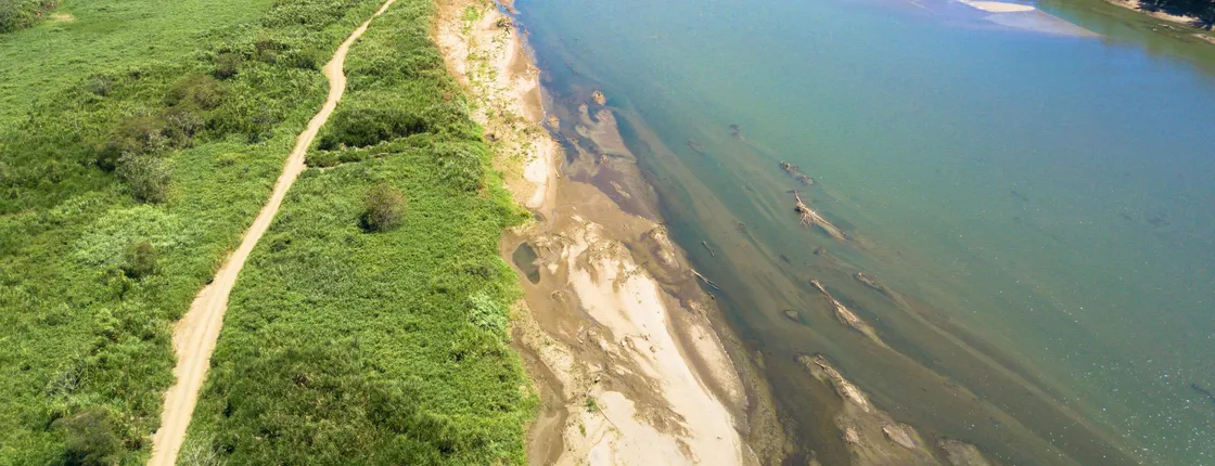 Palo Verde River Ride