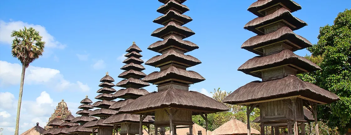 Bali Royal and Water Temple Tour