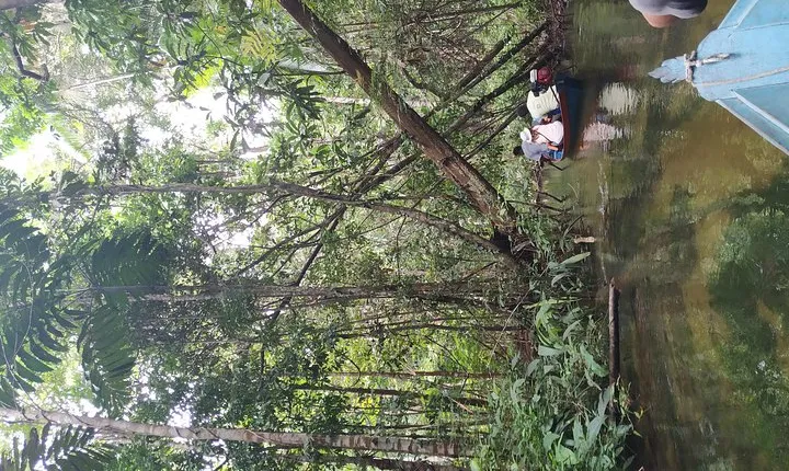 Regional Cruise in the Amazon