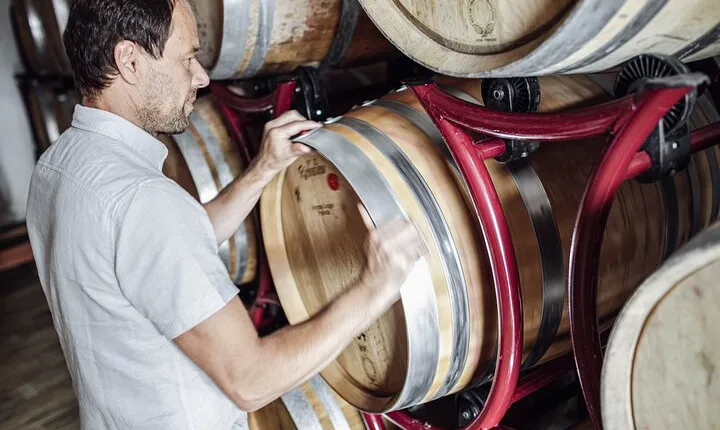 Guided winery tour with tasting in Bolzano at the SKYWINE PAVILLON