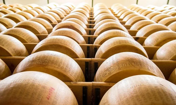 Guided small-group tour TastyBus: Parmesan Cheese and Parma Ham