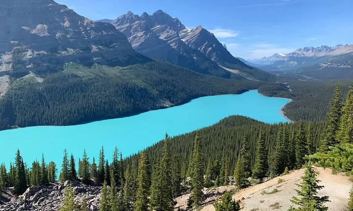 Lake Louise and the Icefields Parkway Full-Day Tour